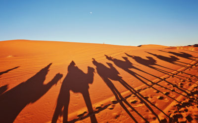 Comment passer son BTS CG, DCG, DSCG au Maroc ? 