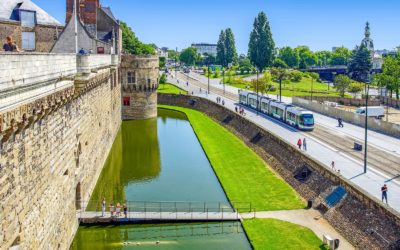 4 raisons probantes de préparer son DSCG à Nantes